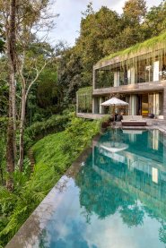 Greenery from the surrounding jungle creeps right up to the infinity pool and dangles tantalizingly over the edge of the roof.